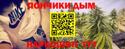 шишки Краснознаменск