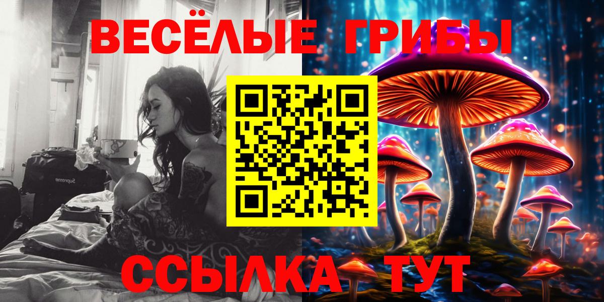 Псилоцибиновые грибы MAGIC MUSHROOMS  Вход с VPN  Галлюциногенные грибы ЛСД  Кандалакша 