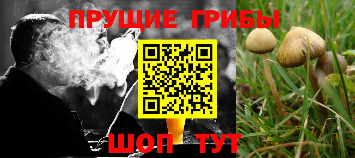 Галлюциногенные грибы MAGIC MUSHROOMS Кандалакша